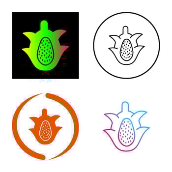 Dragon Fruit Vector Icon