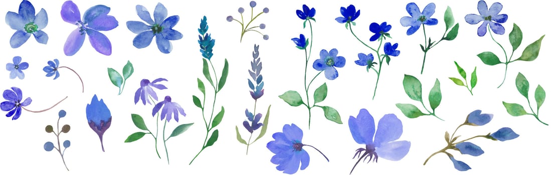 Watercolor floral set with blue flowers. Hand drawn illustration isolated on white background. vector