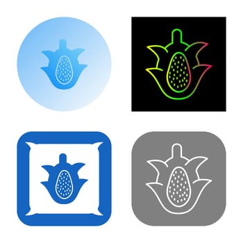 Dragon Fruit Vector Icon