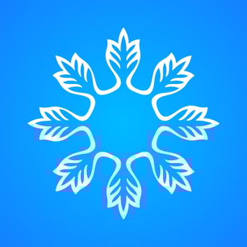 Winter snowflake icon vector illustration