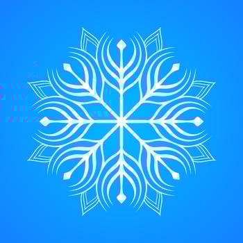 Winter snowflake icon vector illustration