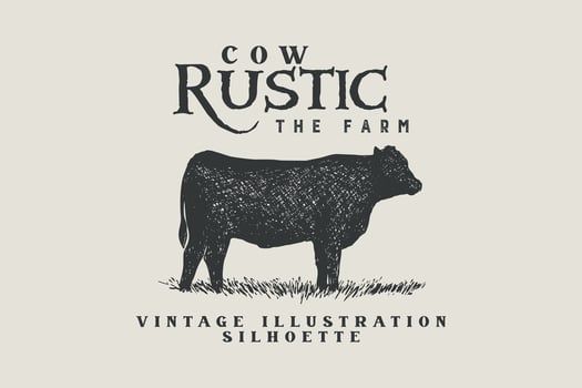 vector illustration of angus cow silhouette in vintage style