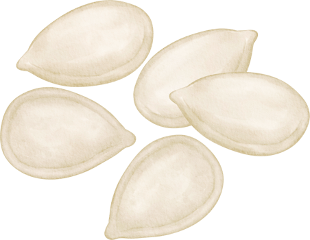 Pumpkin seed watercolor clip art png