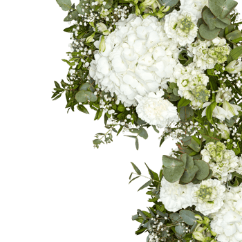 Fresh flower arch cut out isolated transparent background png