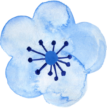 Elements isolated lucky rich sign symbol happy lunar new year flower animal blossom money watercolor png