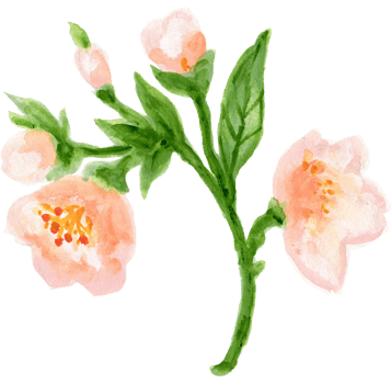 Elements isolated lucky rich sign symbol happy lunar new year flower animal blossom money watercolor png