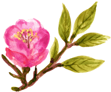Elements isolated lucky rich sign symbol happy lunar new year flower animal blossom money watercolor png