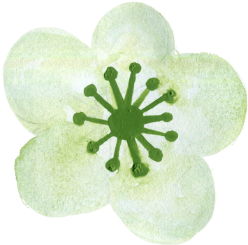 Elements isolated lucky rich sign symbol happy lunar new year flower animal blossom money watercolor png
