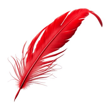AI generated Red Feather Isolated on Transparent Background png