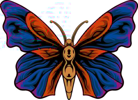 Beautiful classic style butterfly vector
