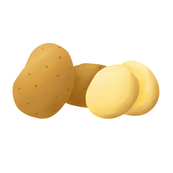 Potatoes handdrawn Illustration png