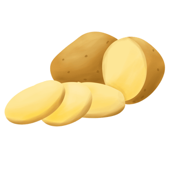 Potatoes handdrawn Illustration png