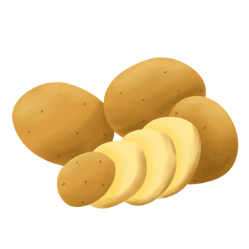 Potatoes handdrawn Illustration png