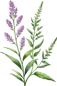AI generated Watercolor wildflower clipart, AI-Generated. png
