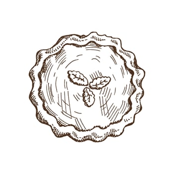 Hand-drawn traditional pumpkin pie sketch. Vector illustration of baking. Homemade cake, bakery. Top view food for recipes, restaurant or cafe menu. Traditional food for Thanksgiving, Christmas