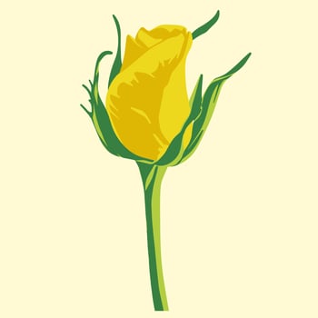 Colored flat vector illustration of  tulip. For cosmetic package design, medicinal herb, treating, half care, prints. Design element  for fabric, textile, clothing, wrapping paper, wallpaper