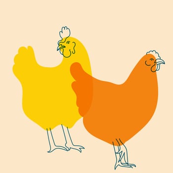 Colorful, fancy chicken. Avatar, badge, poster, logo templates, print. illustration with Riso print effect in flat cartoon style vector