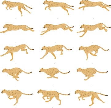 Cheetah - Runing- Animation Spritesheet, realistic animation, animal animation. vector
