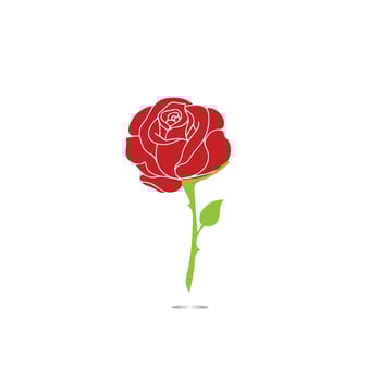 Red roses hand drawn, Black line rose flowers inflorescence silhouettes isolated on white background. Icon roses collection. Vector doodle illustration.