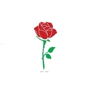 Red roses hand drawn, Black line rose flowers inflorescence silhouettes isolated on white background. Icon roses collection. Vector doodle illustration.