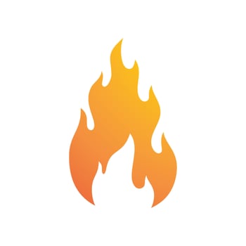 Fire flame Logo vector