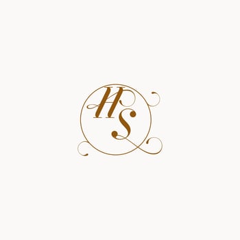 HS wedding monogram initial in perfect details vector