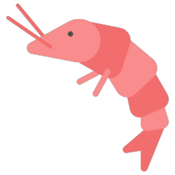 Shrimp illustration design png