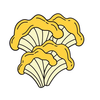 Muhsroom icon vector illustration