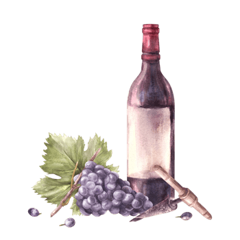 A bottle of red wine with bunch of grapes and grapevine, corkscrew. Watercolour hand draw illustration. Wine making printing of label, flyer, drink menu, wine list, sticker magnet png