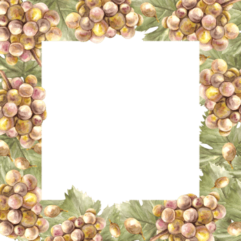 Watercolor square frame bunch of green grapes, leaves and berry. Grapevine label hand painted illustration Design of card, wine list, invitation, restaurant, bar printing. png