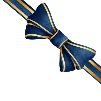 Gift ribbon bow png