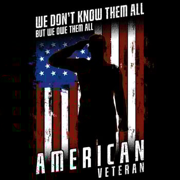 american veteran we don't know them all but we owe them all vector