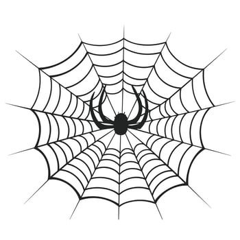 A cobweb vector isolated on a White background, A Spider web silhouette