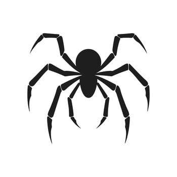 Spider silhouette Vector isolated on a White background
