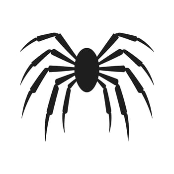 Spider vector silhouette isolated on a White background