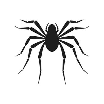 Spider silhouette Vector isolated on a White background