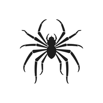 Spider silhouette Vector isolated on a White background