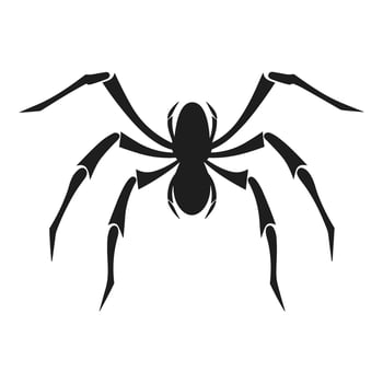 Spider silhouette Vector isolated on a White background
