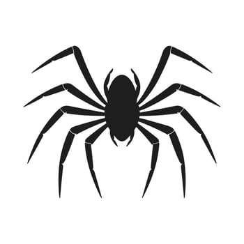 Spider silhouette Vector isolated on a White background