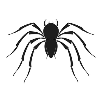 Spider silhouette Vector isolated on a White background