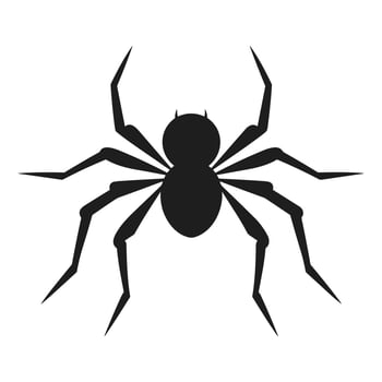 Spider silhouette Vector isolated on a White background