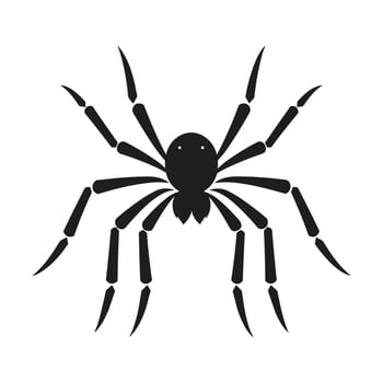 Spider vector silhouette isolated on a White background