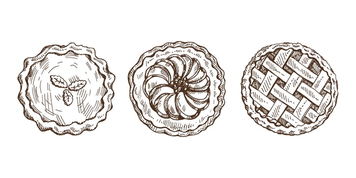 Hand-drawn vintage set of traditional cakes and pies sketch. Sweet bakery, fruit, berries, pumpkin. Top view. Vector collection of ink baking illustration. Food for Thanksgiving, Christmas.