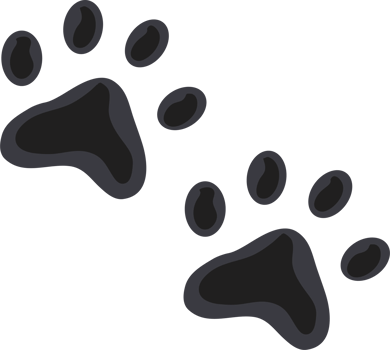 cute pet paw png
