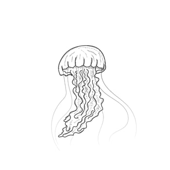 Isolated Hand Drawn Sketch of Swimming Ocean Jellyfish Illustration vector