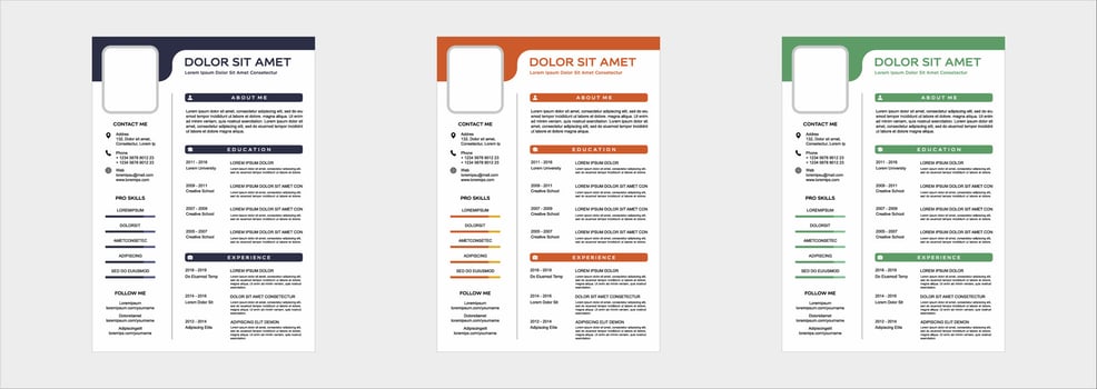 professional curriculum vitae template vector