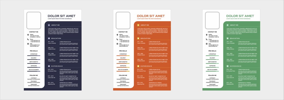 professional curriculum vitae template vector