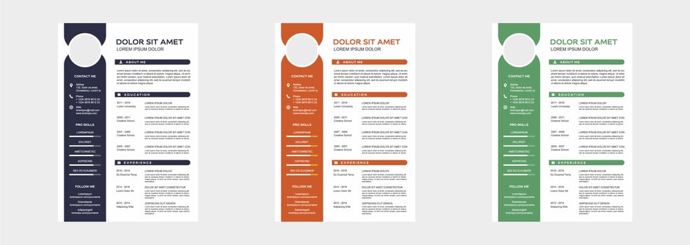 professional curriculum vitae template vector