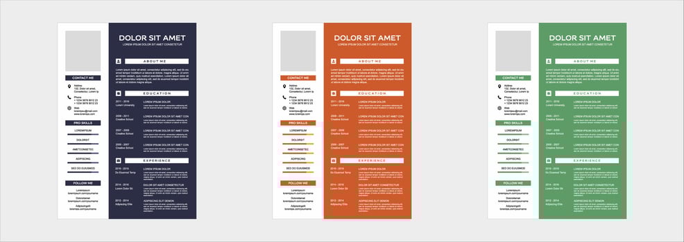 professional curriculum vitae template vector