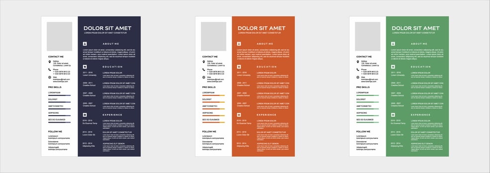 professional curriculum vitae template vector